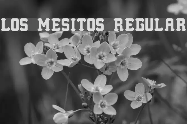 Los Mesitos Regular Font examples