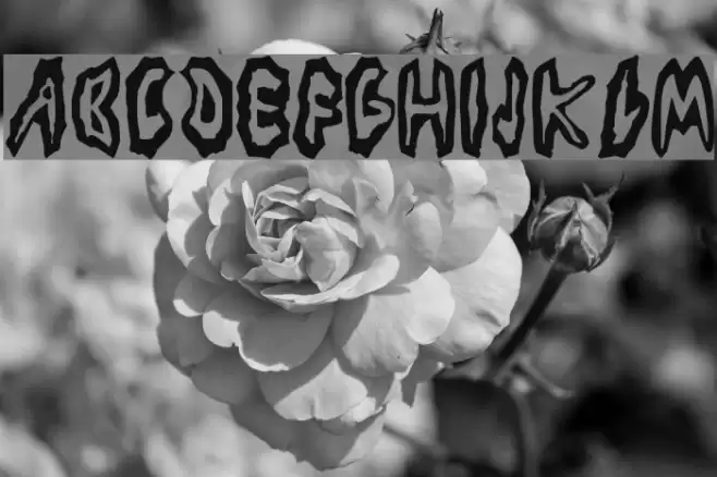 Los Piojos フォント examples