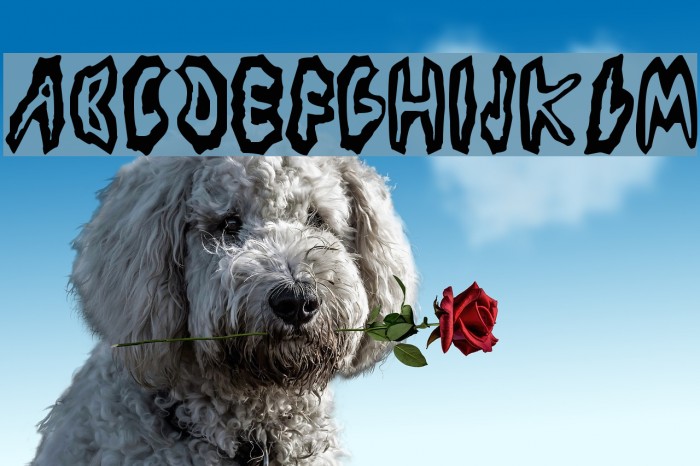 Los Piojos Font examples