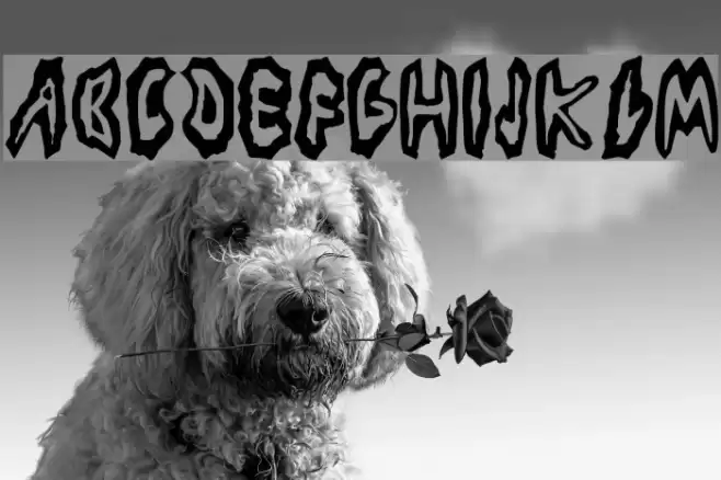 Los Piojos フォント examples