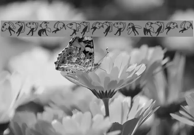 LosAngeles-Bold Font examples