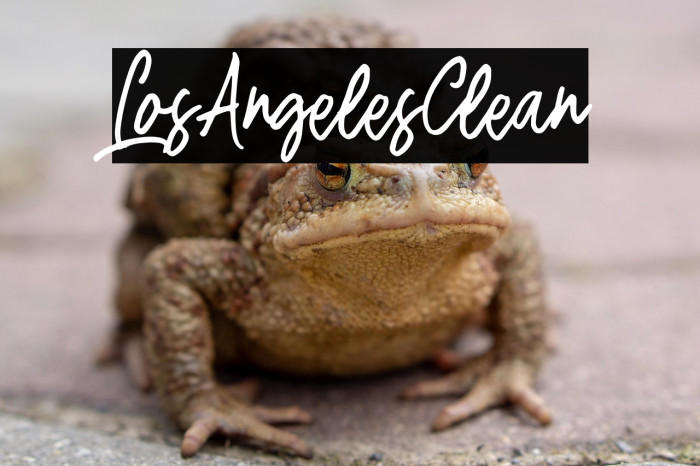 LosAngelesClean Caratteri examples