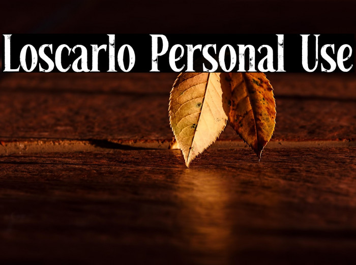 Loscarlo Personal Use Example 1