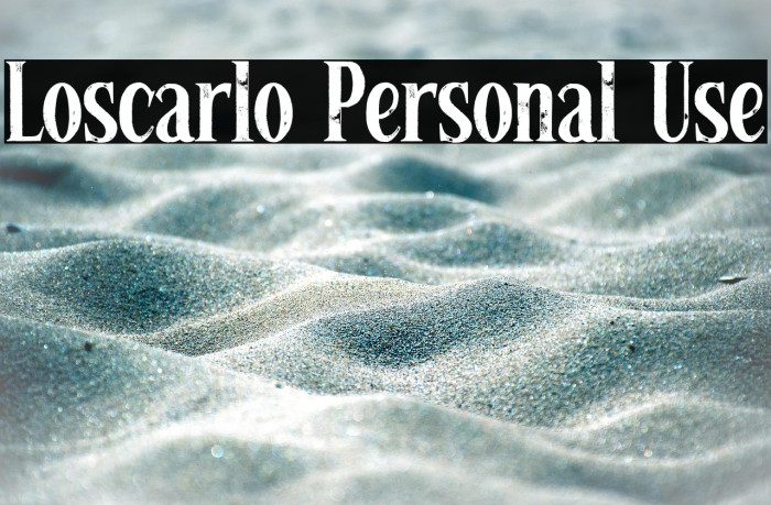 Loscarlo Personal Use Example 3