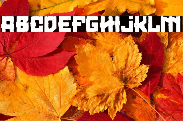 Loser Moto Club Example 1