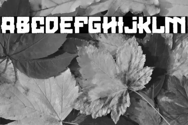 Loser Moto Club Font examples