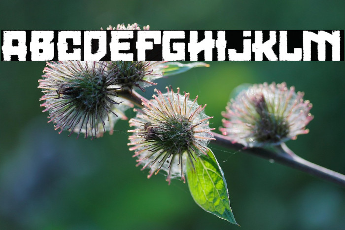 Loser Moto Club Example 3