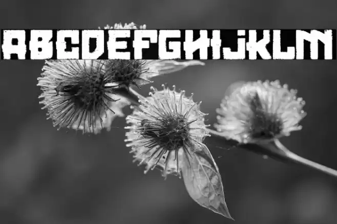 Loser Moto Club Font examples