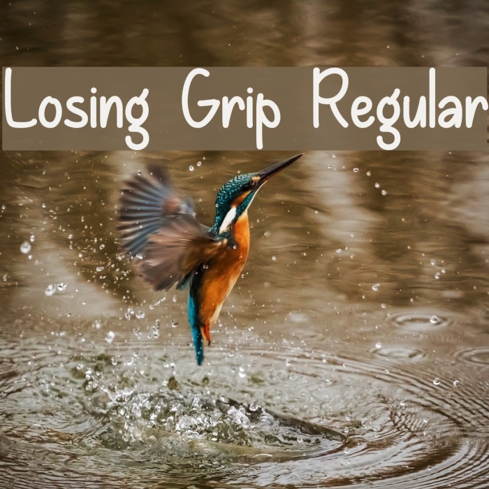 Losing Grip Regular Font examples