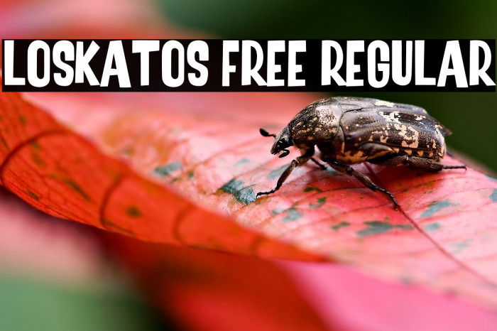 Loskatos Free Regular Example 1