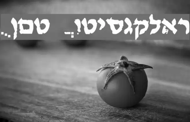 Lost CityRegular Font examples