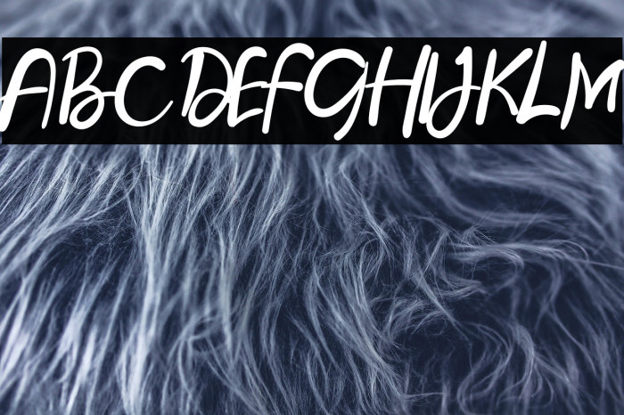 Lost Dolly Example 2