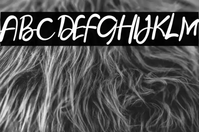 Lost Dolly خط examples