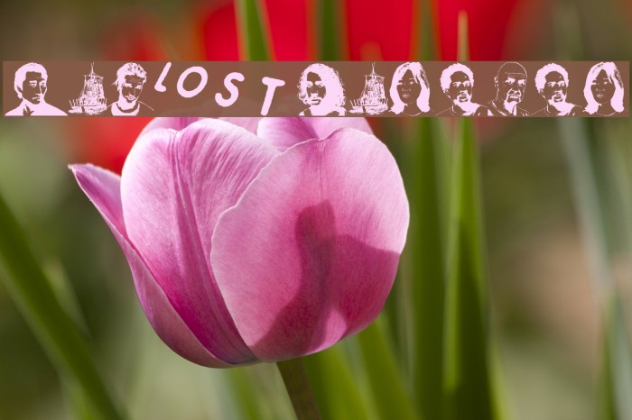 Lost Forever Example 3