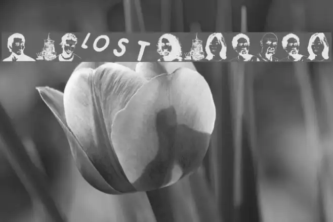 Lost Forever Example 3