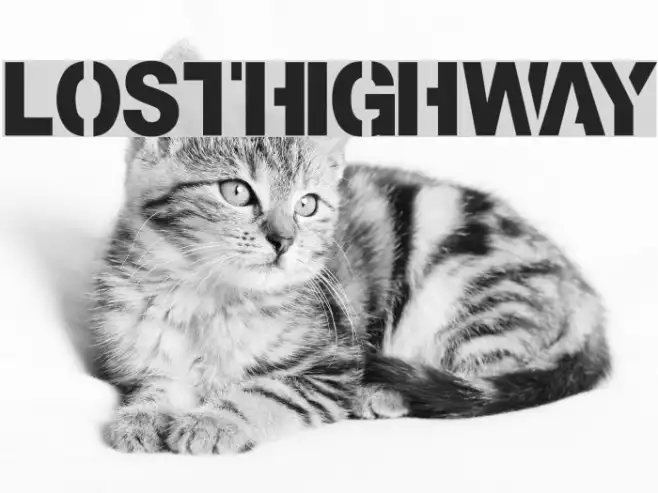 Lost-Highway Example 1