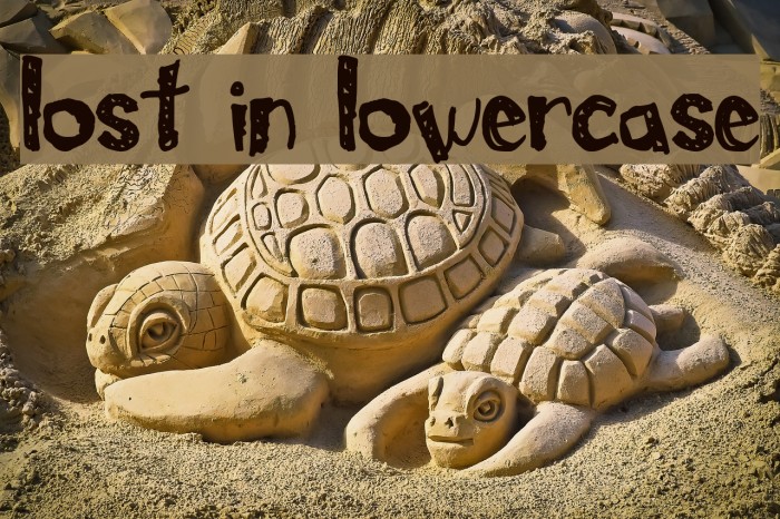 Lost In Lowercase Font examples