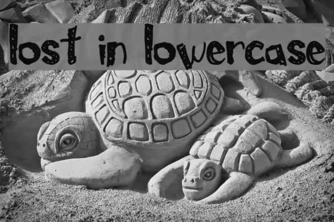 Lost In Lowercase Example 1