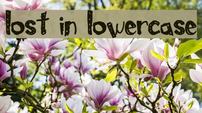 Lost In Lowercase Font examples