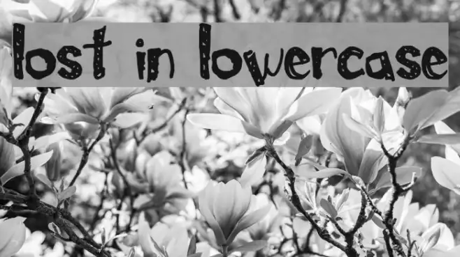 Lost In Lowercase Example 2
