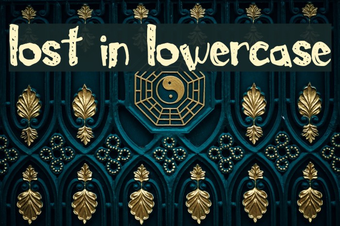 Lost In Lowercase Font examples