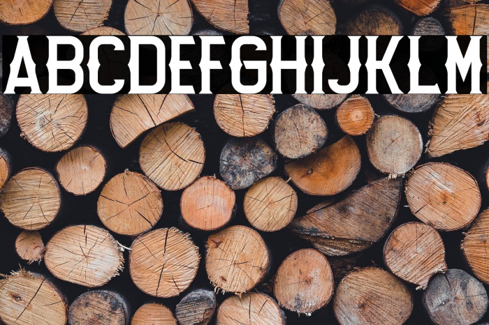 Lost Leonenst Bold Example 3