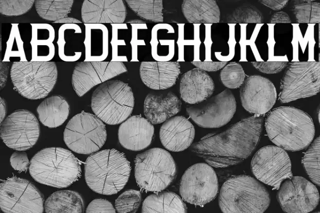 Lost Leonenst Bold Font examples