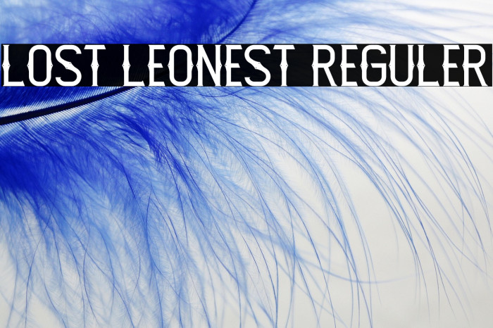 Lost Leonest Reguler Example 1