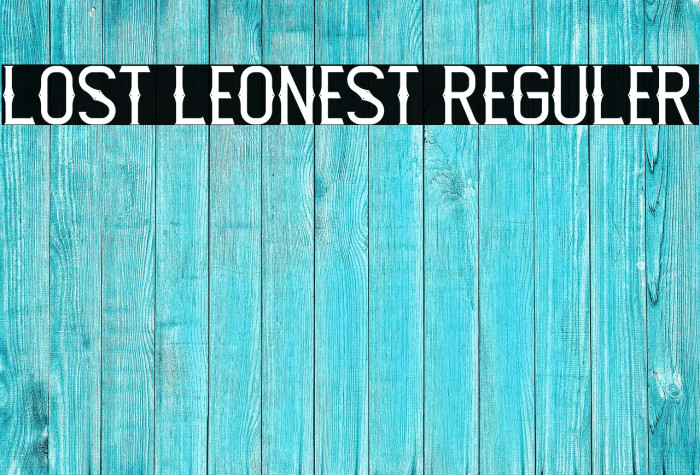 Lost Leonest Reguler Example 3