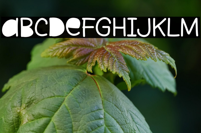 Lost Paper Example 2