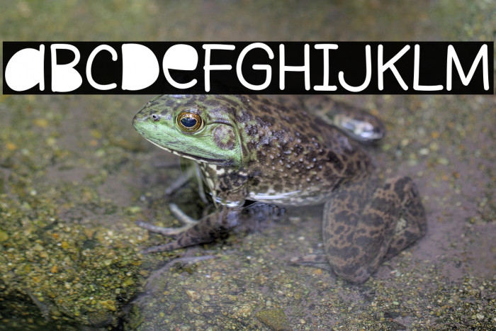 Lost Paper Example 3