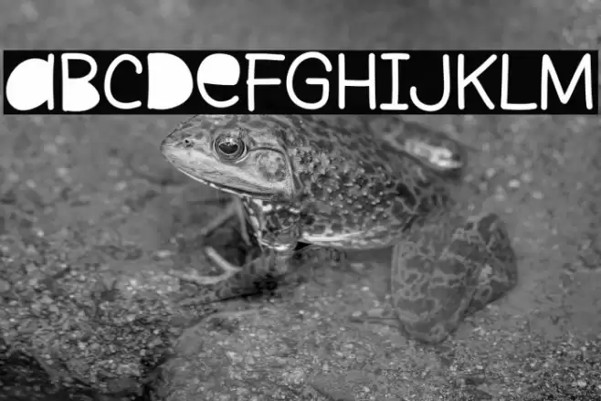 Lost Paper Schriftart examples