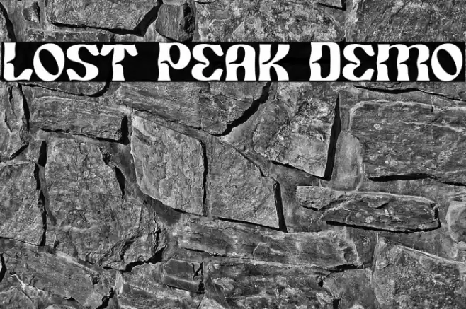 Lost Peak Demo Polices examples