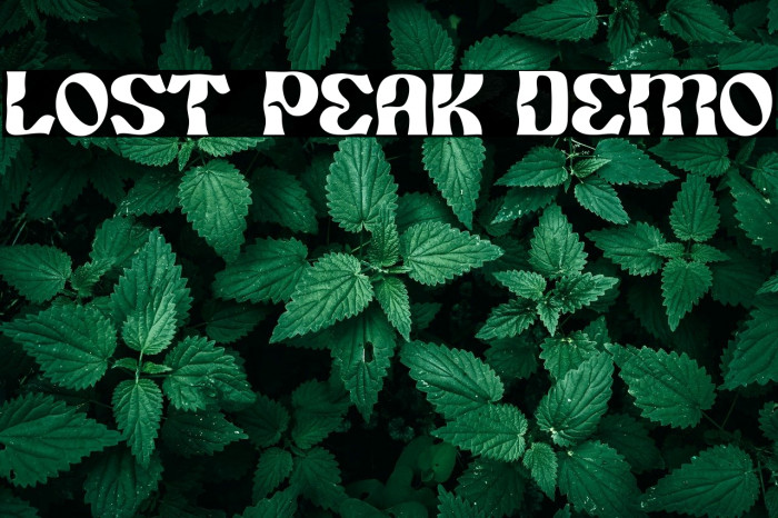 Lost Peak Demo Example 3