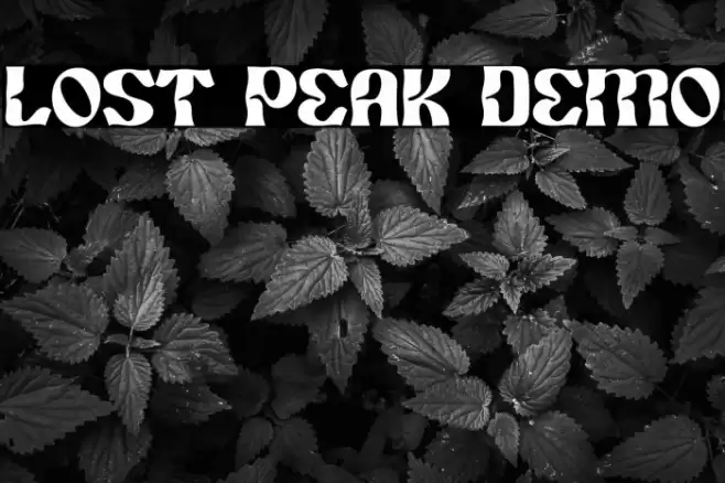 Lost Peak Demo Polices examples
