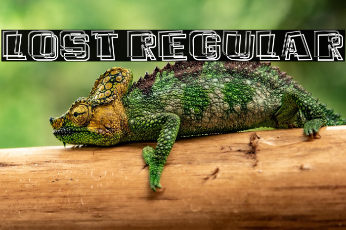 Lost Regular Example 2