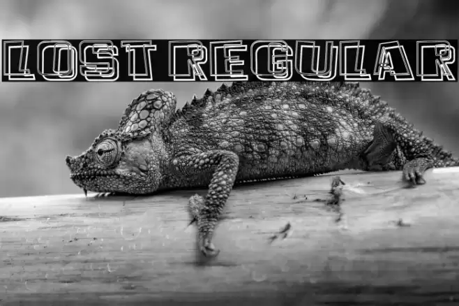 Lost Regular Font examples