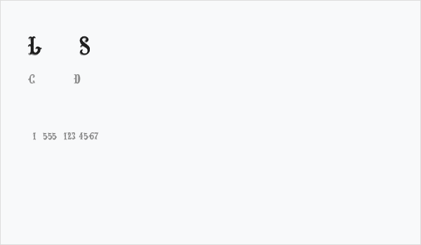 Lost Saloon Business Card