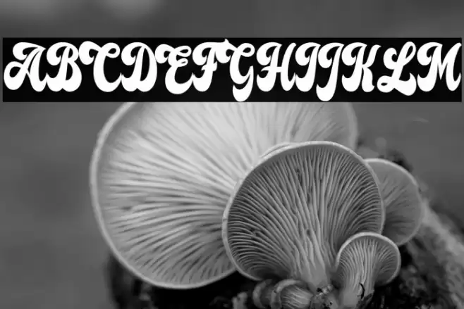 Lost Sunset Personal Use Regular Font examples