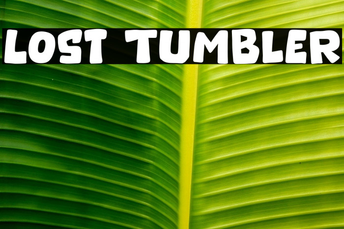 Lost Tumbler Example 2