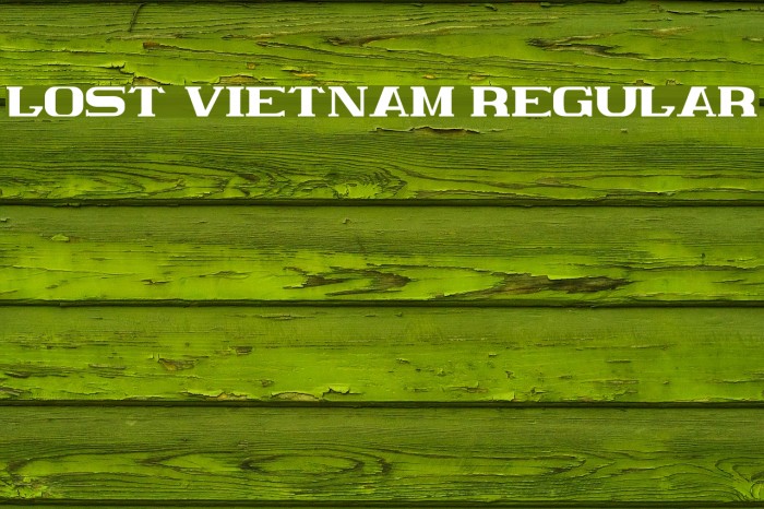 Lost Vietnam Regular Font examples