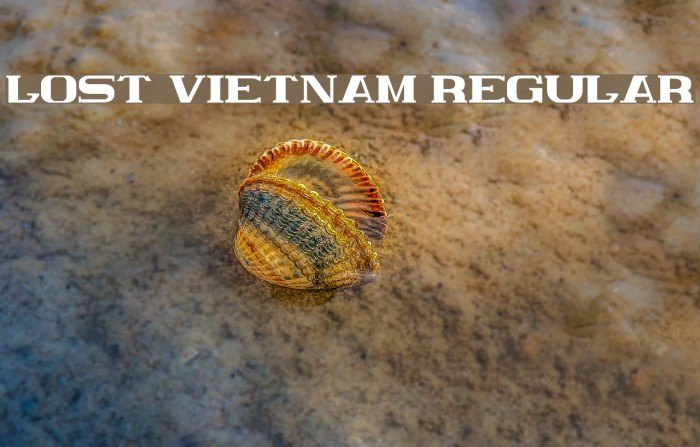 Lost Vietnam Regular Font examples