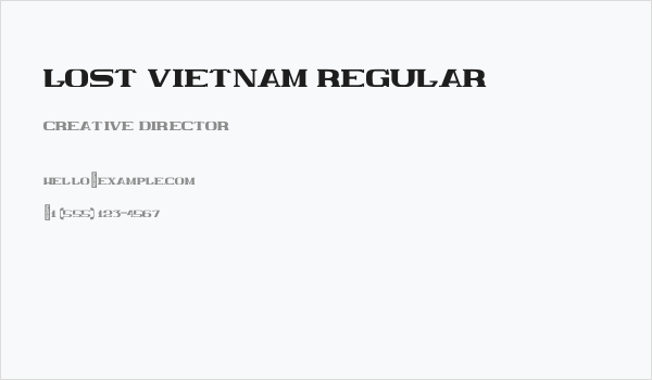 Lost Vietnam Regular Business Card