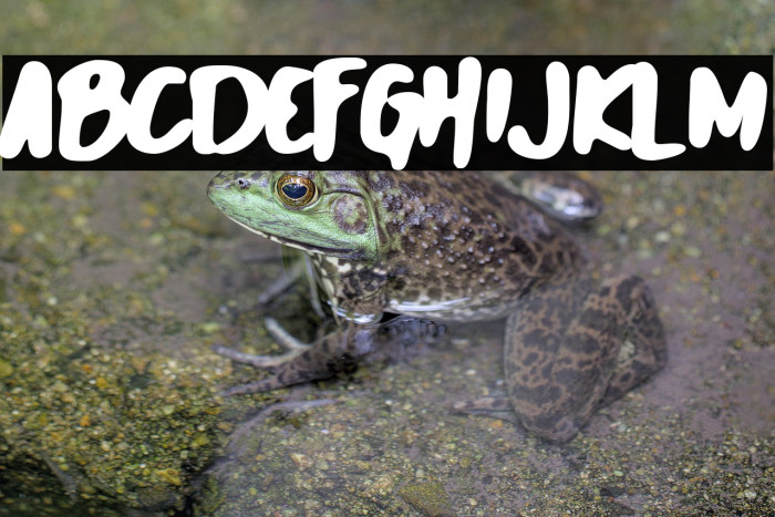 Lost World Example 1