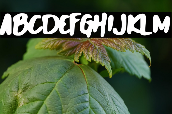 Lost World Example 3