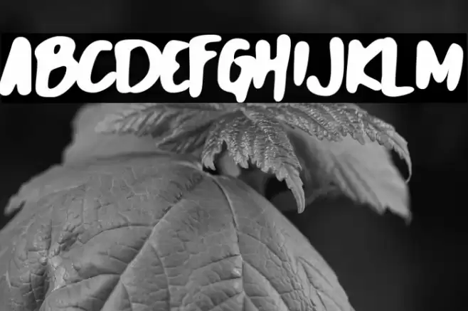 Lost World Font examples