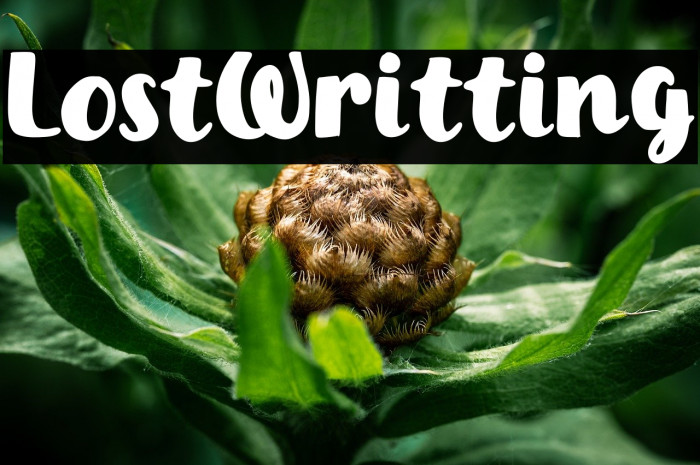 Lost Writting Example 2