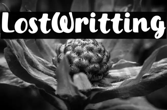 Lost Writting Example 2