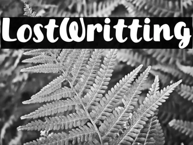 Lost Writting Example 3