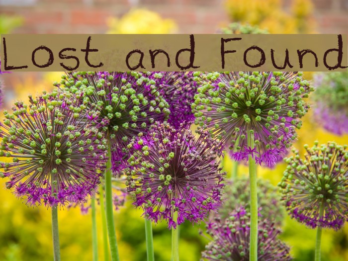 Lost and Found Font examples